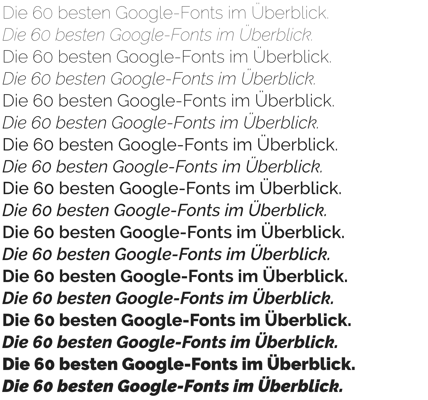 Google-Fonts-Raleway