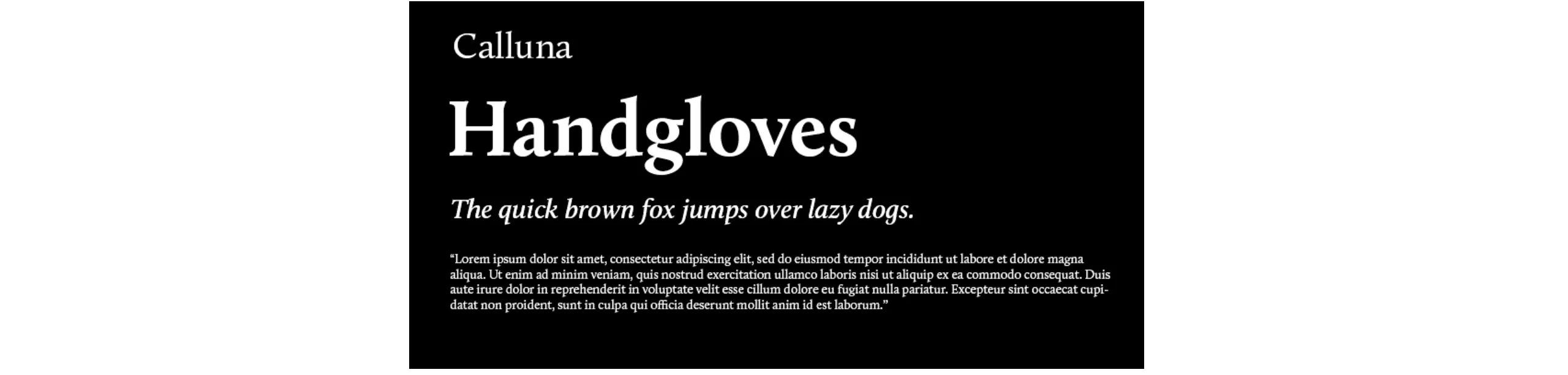 Die über 120 beliebtesten und besten Adobe Fonts 54 Schriftmuster der Calluna bei Adobe Fonts