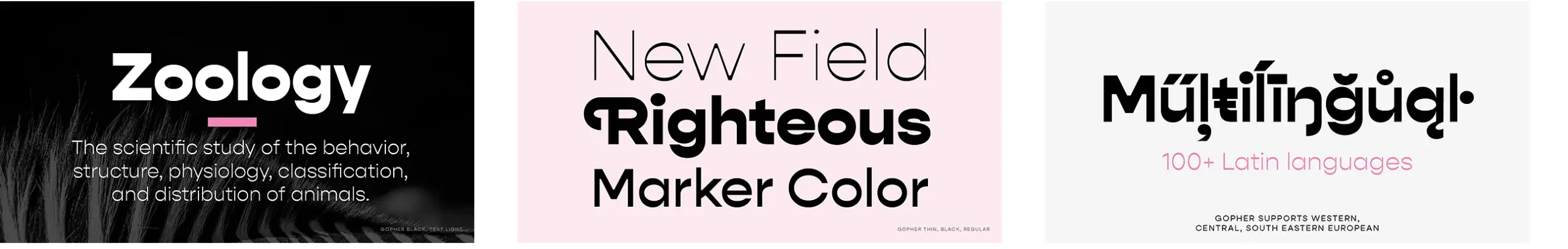 Die über 120 beliebtesten und besten Adobe Fonts 75 Schriftmuster der Gopher bei Adobe Fonts