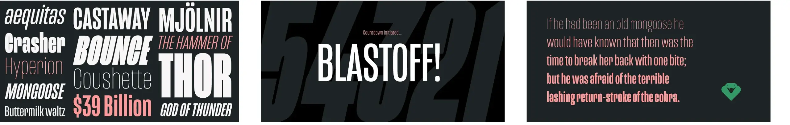 Die über 120 beliebtesten und besten Adobe Fonts 88 Schriftmuster der Mongoose bei Adobe Fonts